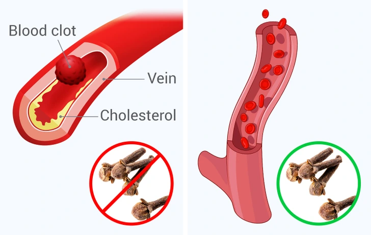 Supporting Healthy Circulation
